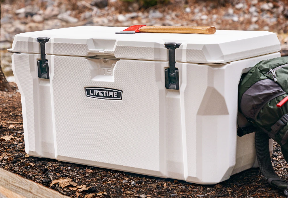 portable ice cream cooler box