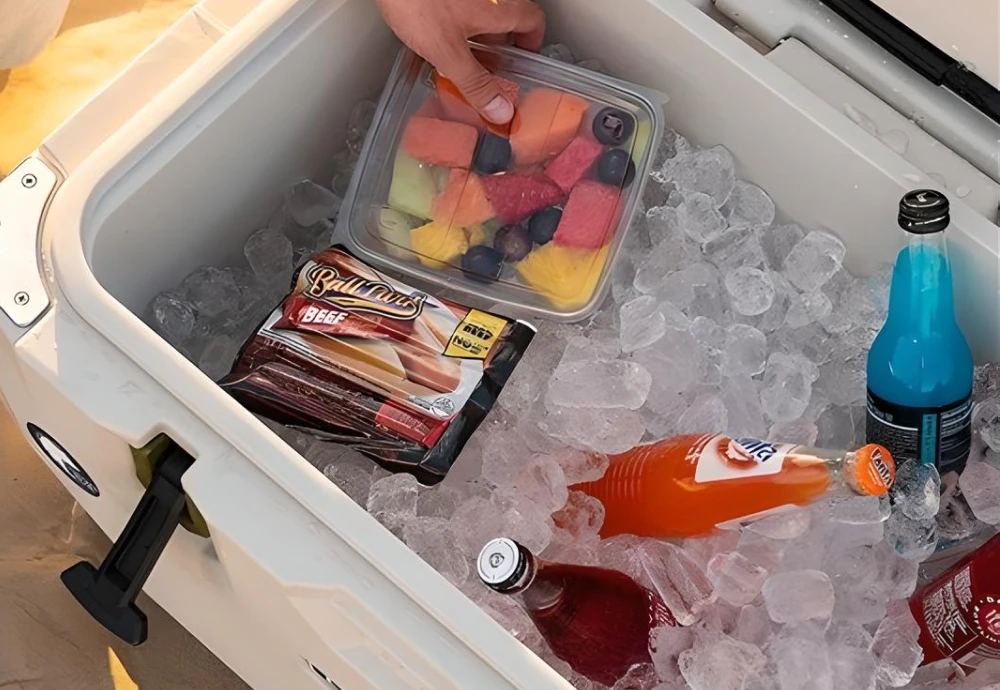 ice box cooler for car