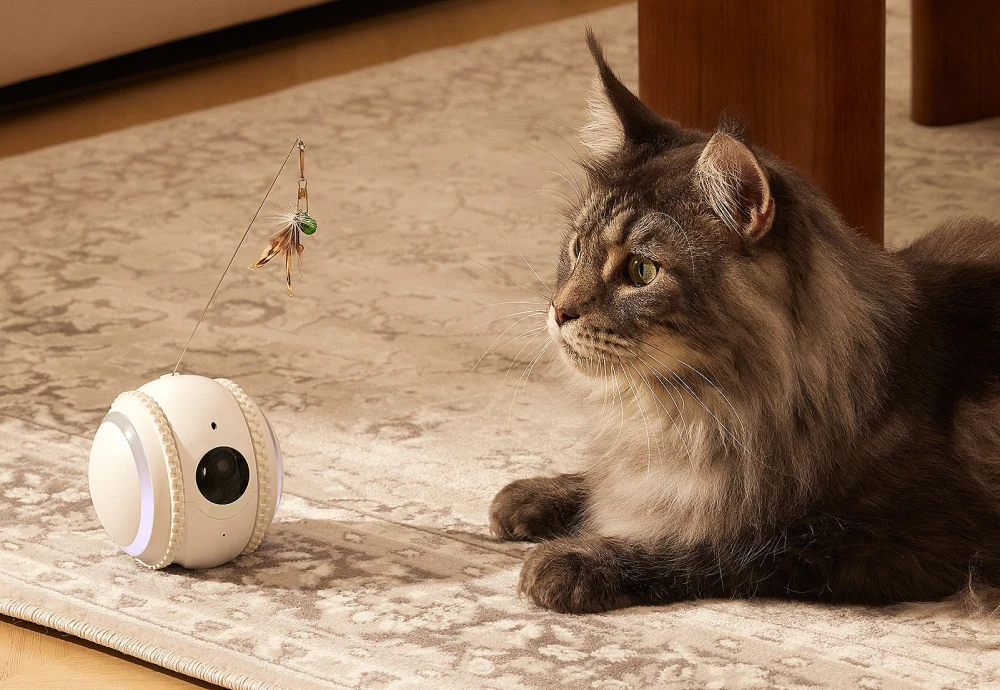 best surveillance camera for pets