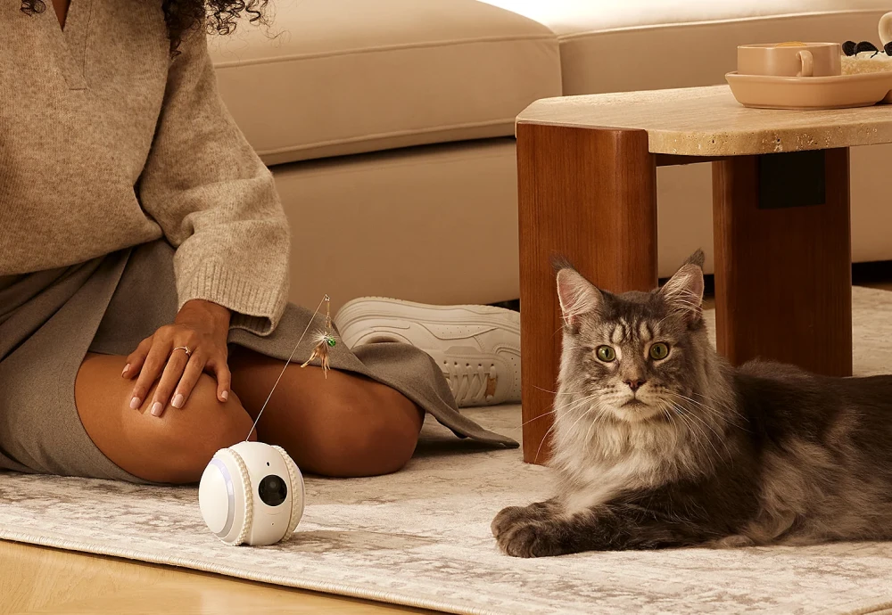 wireless pet camera