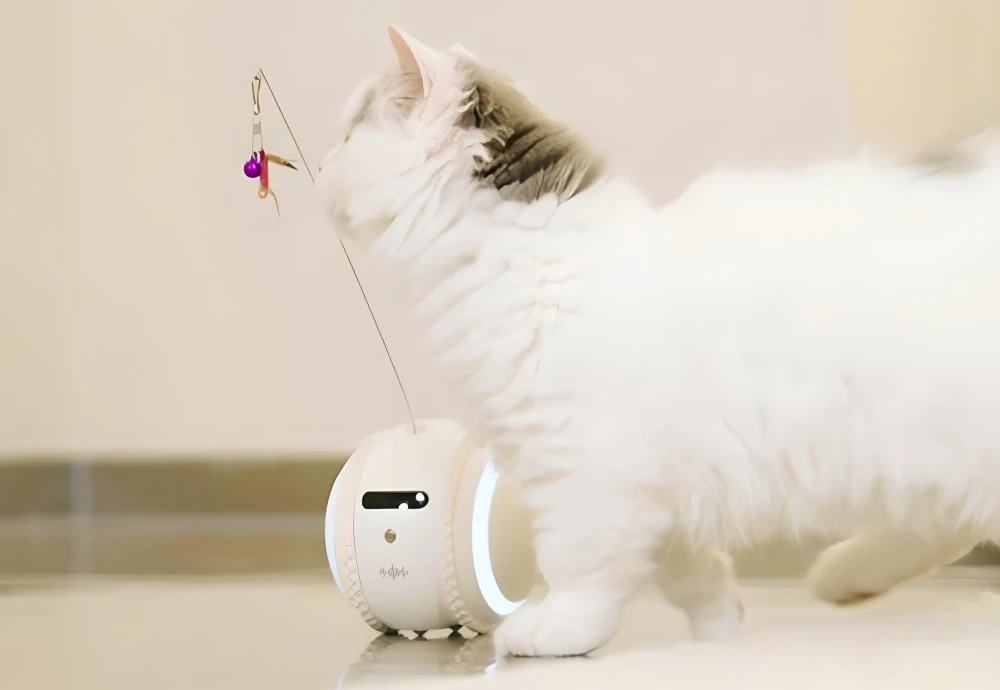 best surveillance camera for pets