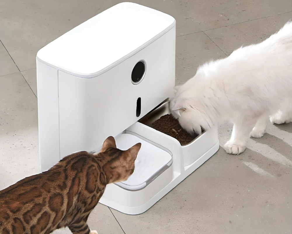 automatic pet bowl feeder