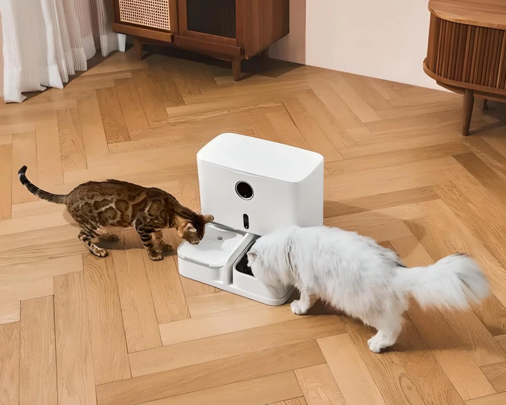 pet food dispenser automatic